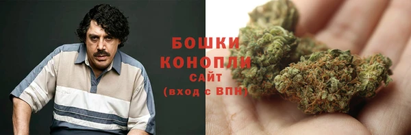 spice Аркадак