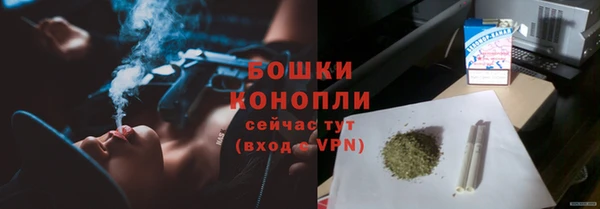 трава Арсеньев