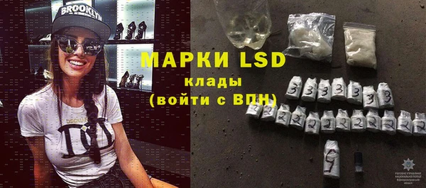 spice Аркадак