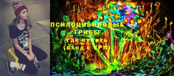 spice Аркадак